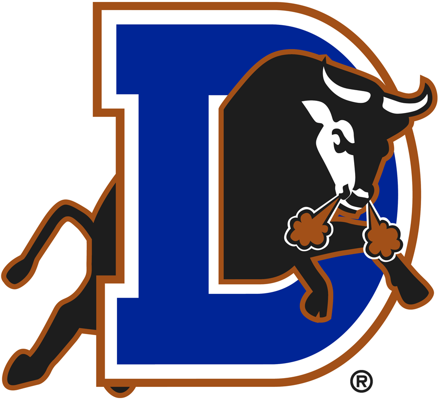 Durham Bulls 1998-Pres Primary Logo iron on transfers for clothing